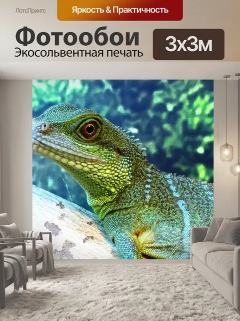 Фотообои Китайские воды дракон