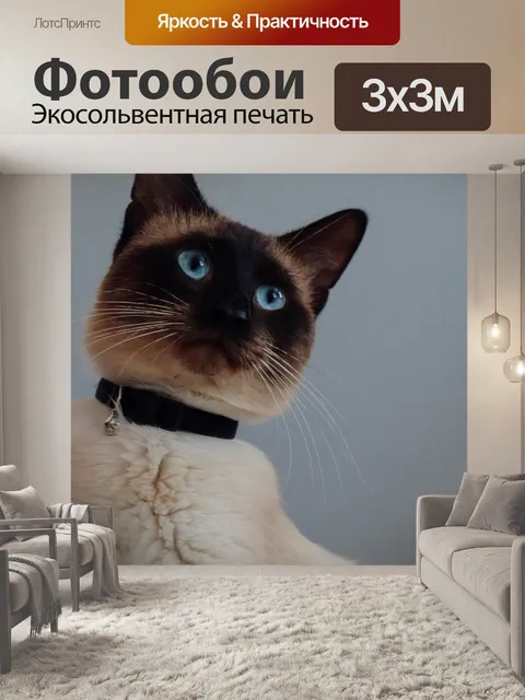 Фотообои Кошка