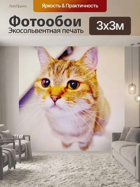 Фотообои Домашний питомец