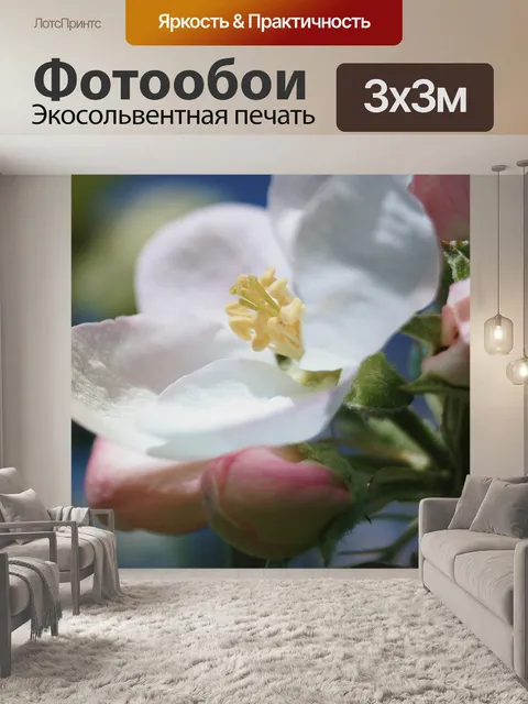 Фотообои Яблоневый цвет