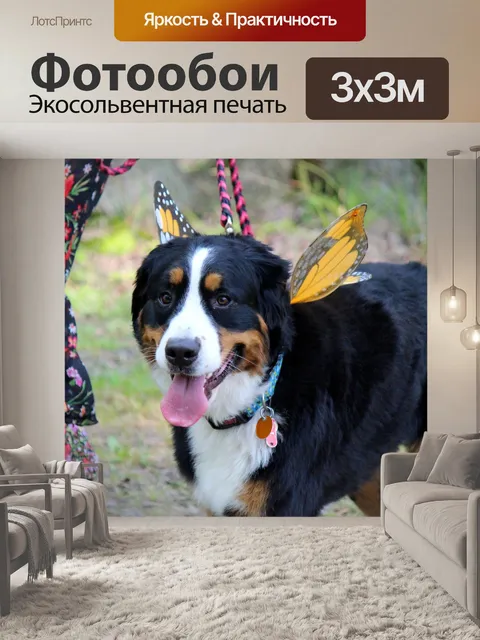 Фотообои Бабочка собака