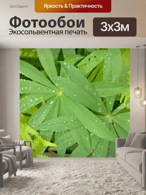 Фотообои Листья