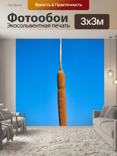 Фотообои Трава