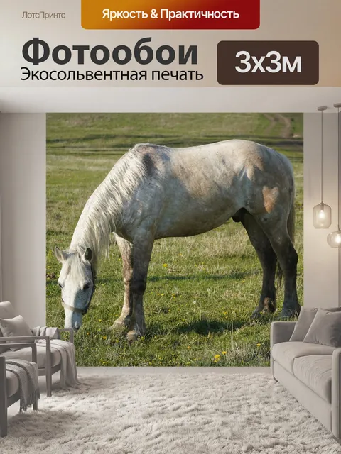 Фотообои Белая лошадь