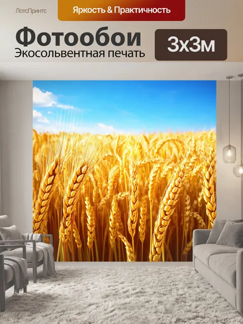 Фотообои утро показывают живописные поля с пшеницей, которые колышутся на ветерку под ярким синим небом