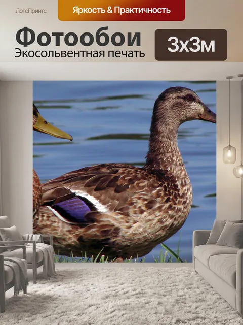Фотообои Во второй половине дня прогулка