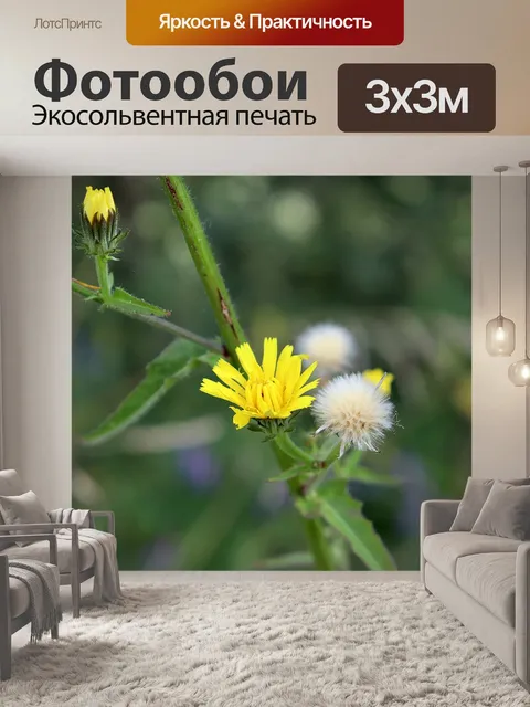 Фотообои Цветок