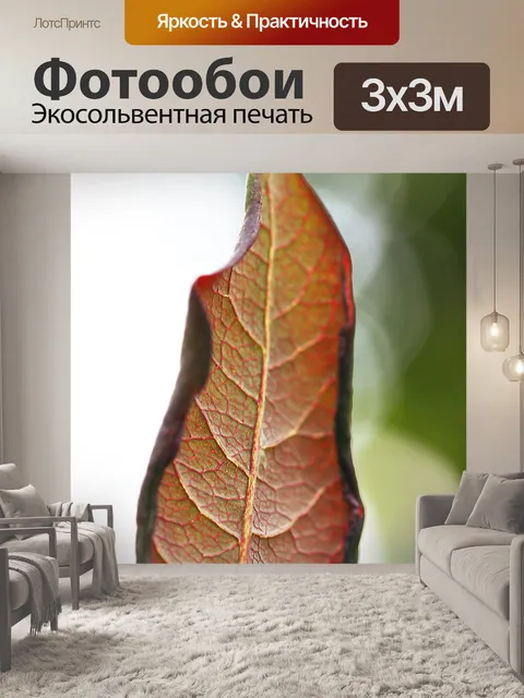 Фотообои Лист