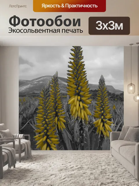 Фотообои Алоэ вера
