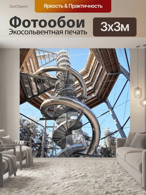 Фотообои Тропа через верхушки деревьев