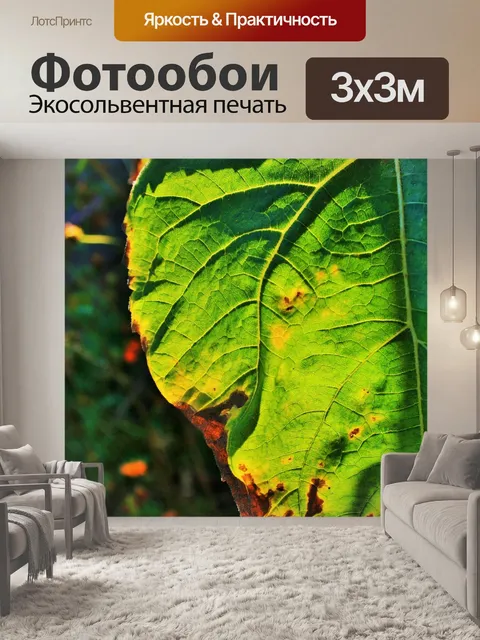 Фотообои Зеленый лист с красновато-коричневой ока