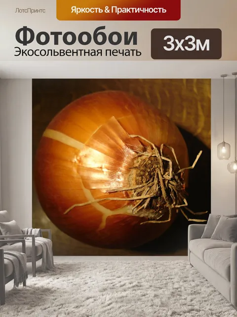 Фотообои Лук
