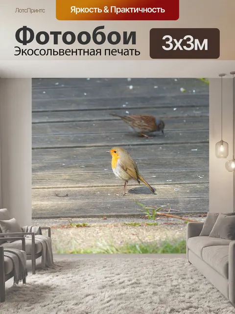 Фотообои Птица