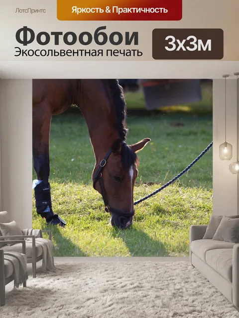 Фотообои Конный спорт