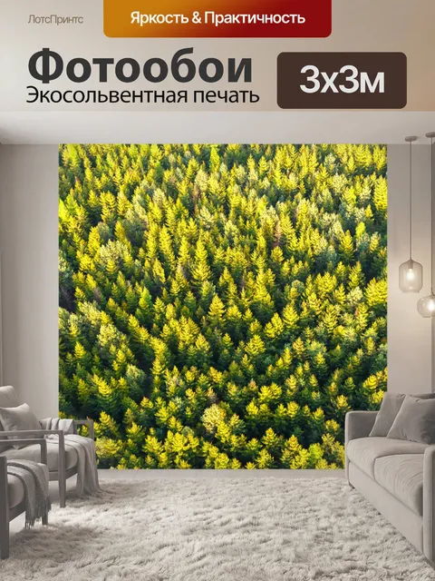 Фотообои воздушные верхушки деревьев