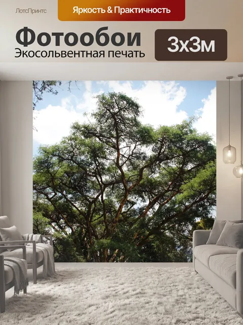 Фотообои ветви высокого дерева в парке