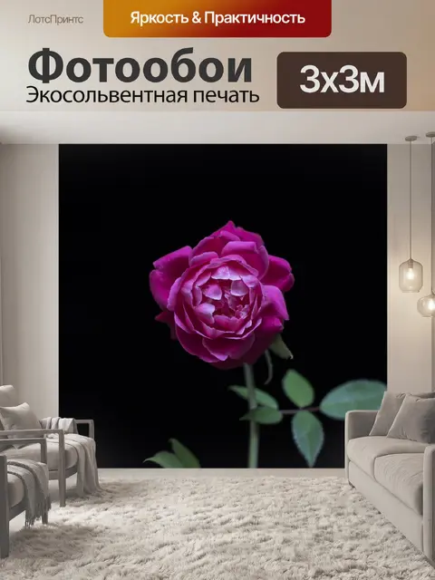 Фотообои Черные обои