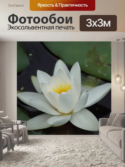Фотообои Водяная лилия