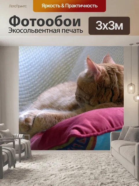 Фотообои Рыжий кот