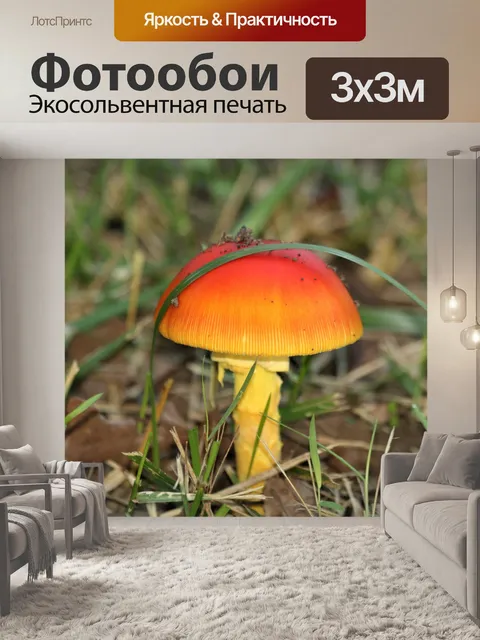 Фотообои Оранжевый Мухомор Гриб в траве