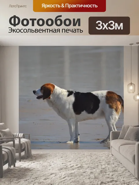 Фотообои Собака