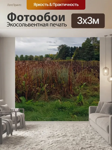 Фотообои Осенние кукурузные поля