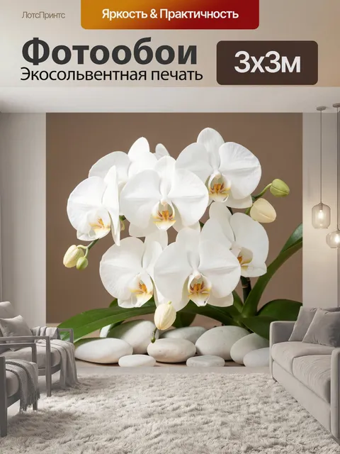 Фотообои Белые орхидеи и камни