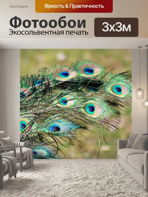 Фотообои Павлин