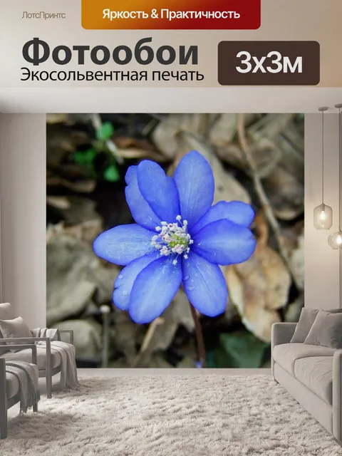 Фотообои Цветок печени