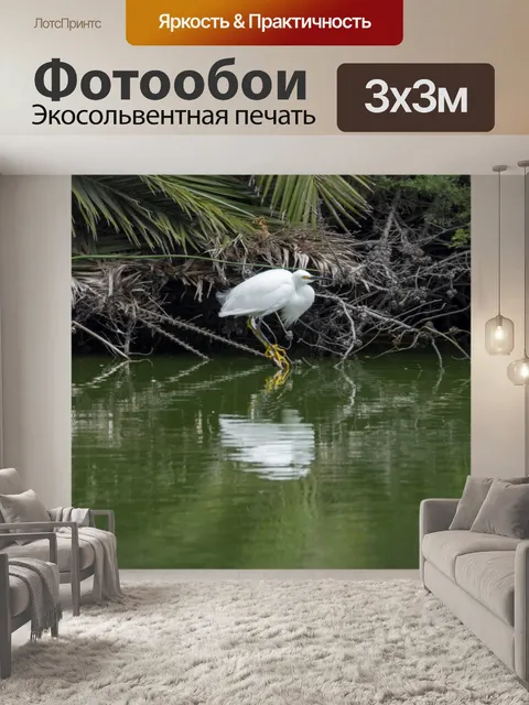 Фотообои Снежная белая цапля