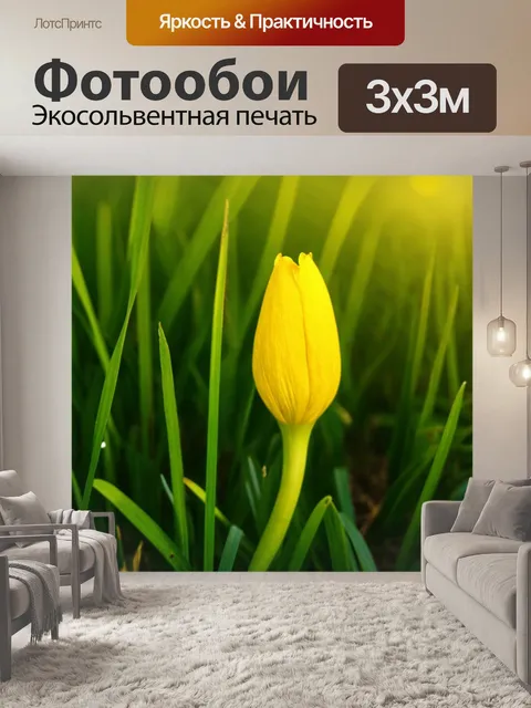 Фотообои пахистахис, желтый бутон цветка, расположенный на фоне изумрудной травы, с утренним солнечным светом…