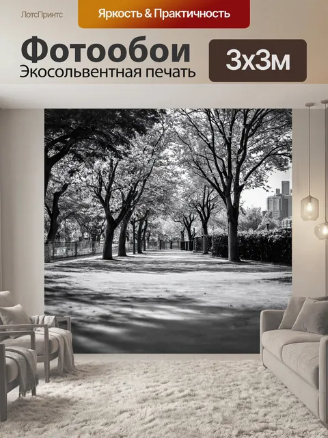 Фотообои черно-белый, на которых изображены пейзажи с парками и аллеями, создающими ощущение свободы