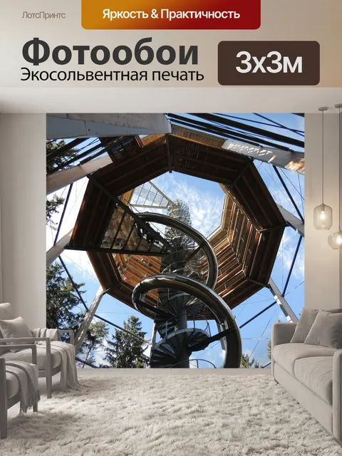 Фотообои Тропа через верхушки деревьев