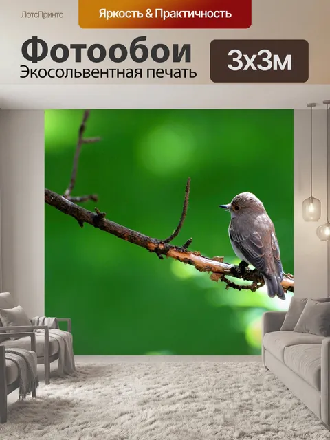 Фотообои Птица