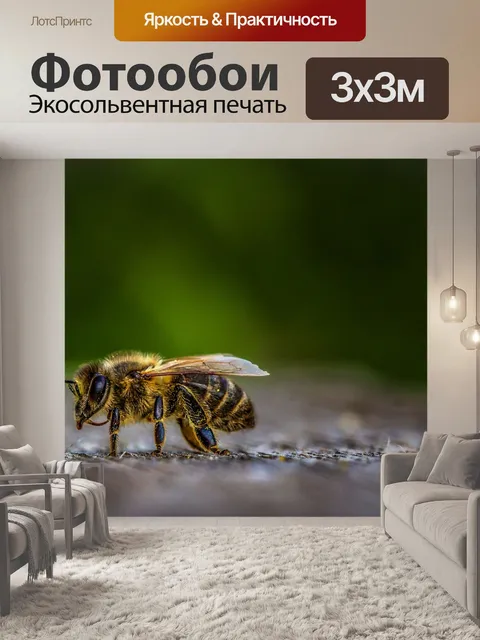 Фотообои Насекомое