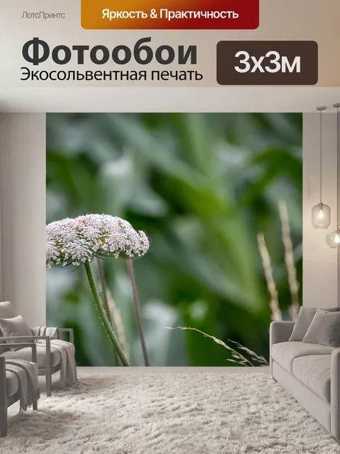 Фотообои Цветок, белые цветы