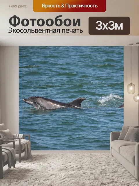 Фотообои Дельфины