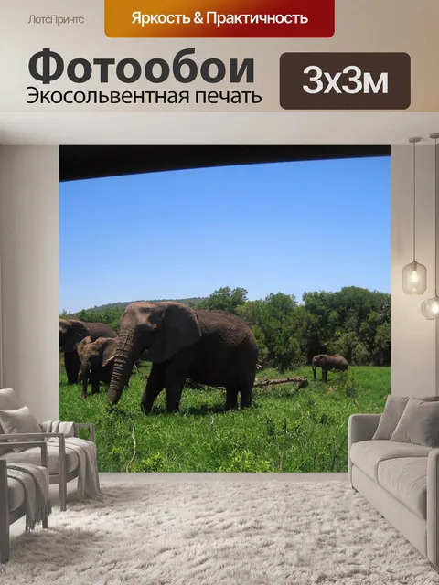 Фотообои просмотр слона на сафари