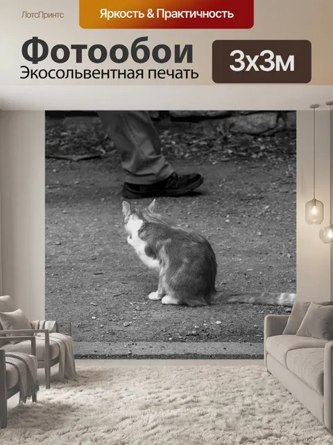 Фотообои Уход за кошками