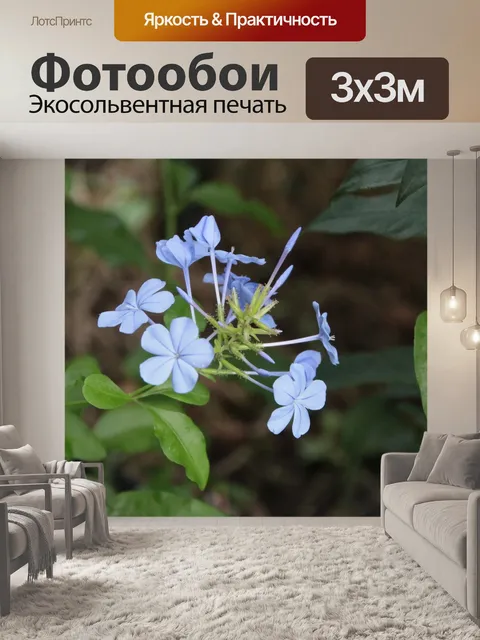 Фотообои Синие цветы