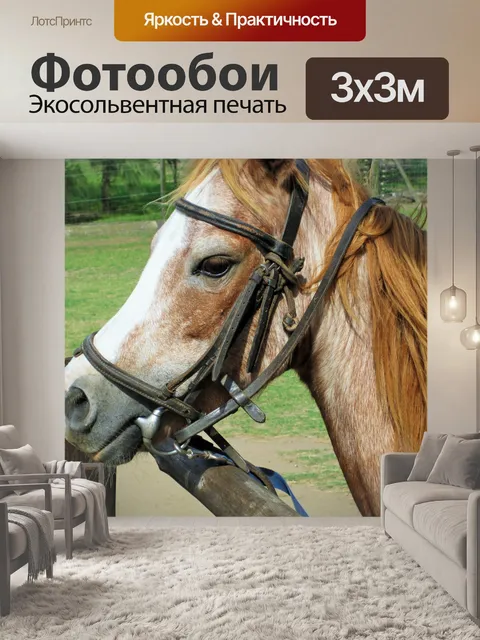 Фотообои пони с уздечкой