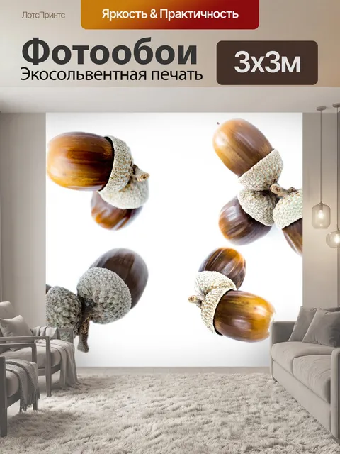 Фотообои Желуди на белом фоне