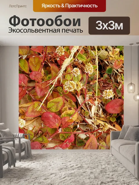 Фотообои Осенние листья