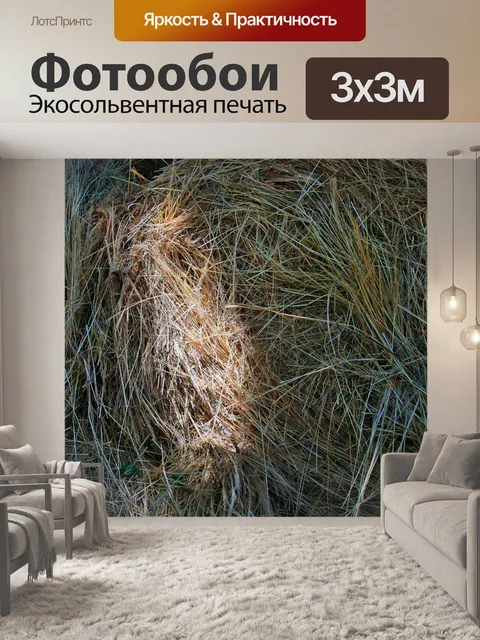 Фотообои Тюки сена закрытия