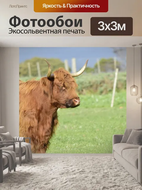 Фотообои Высокогорная корова