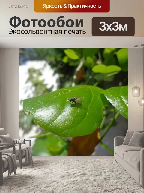 Фотообои Летать