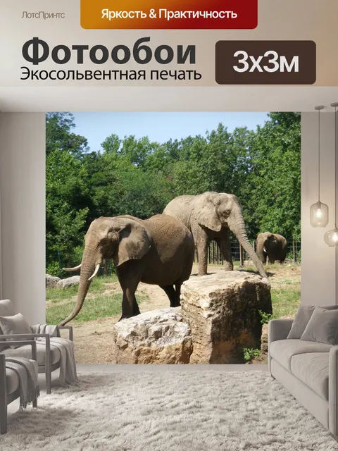 Фотообои Африканские слоны