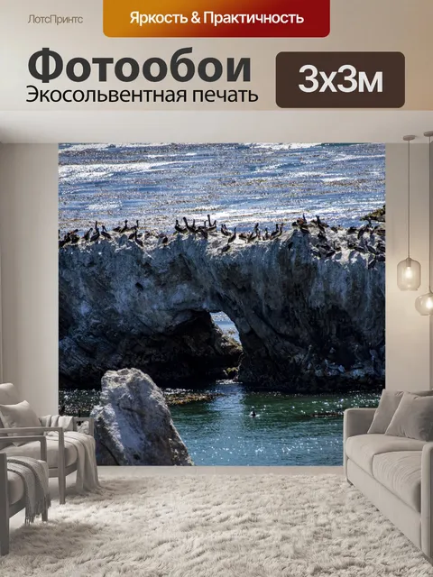 Фотообои Скалы покрыты морскими птицами