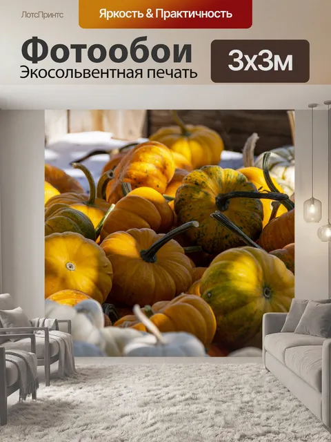 Фотообои Миниатюрные тыквы