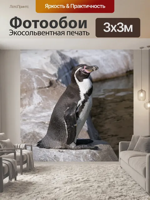 Фотообои Пингвины